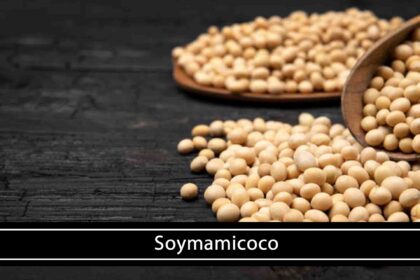 Soymamicoco