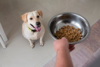 health extension dog food