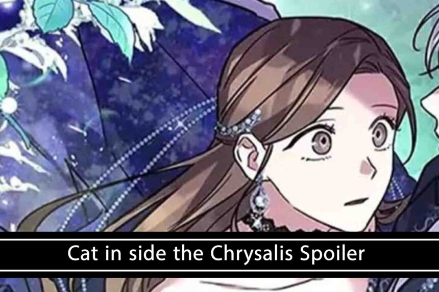 ﻿Cat inside the Chrysalis Spoiler: Navigating the Mystery
